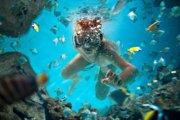 Catalina Island Snorkeling Adventure & Altos de Chavon