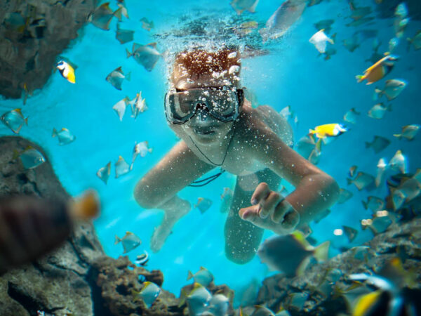 Catalina Island Snorkeling Adventure & Altos de Chavon