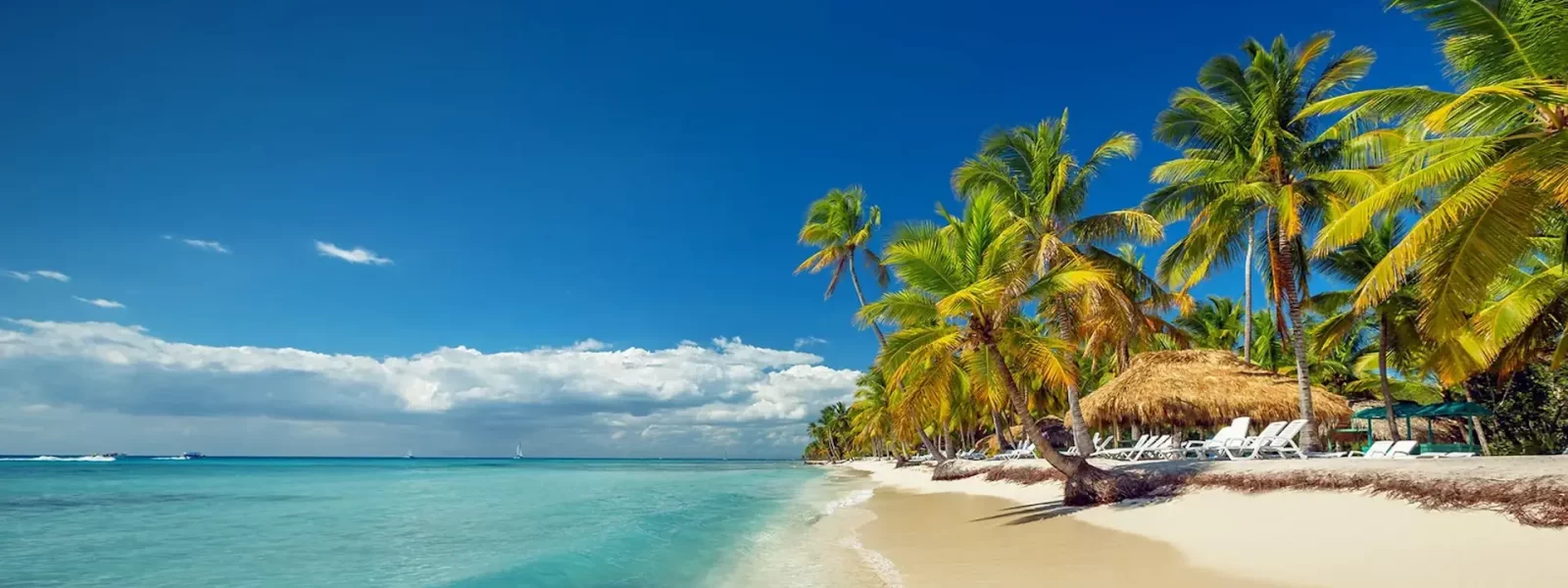Saona Island