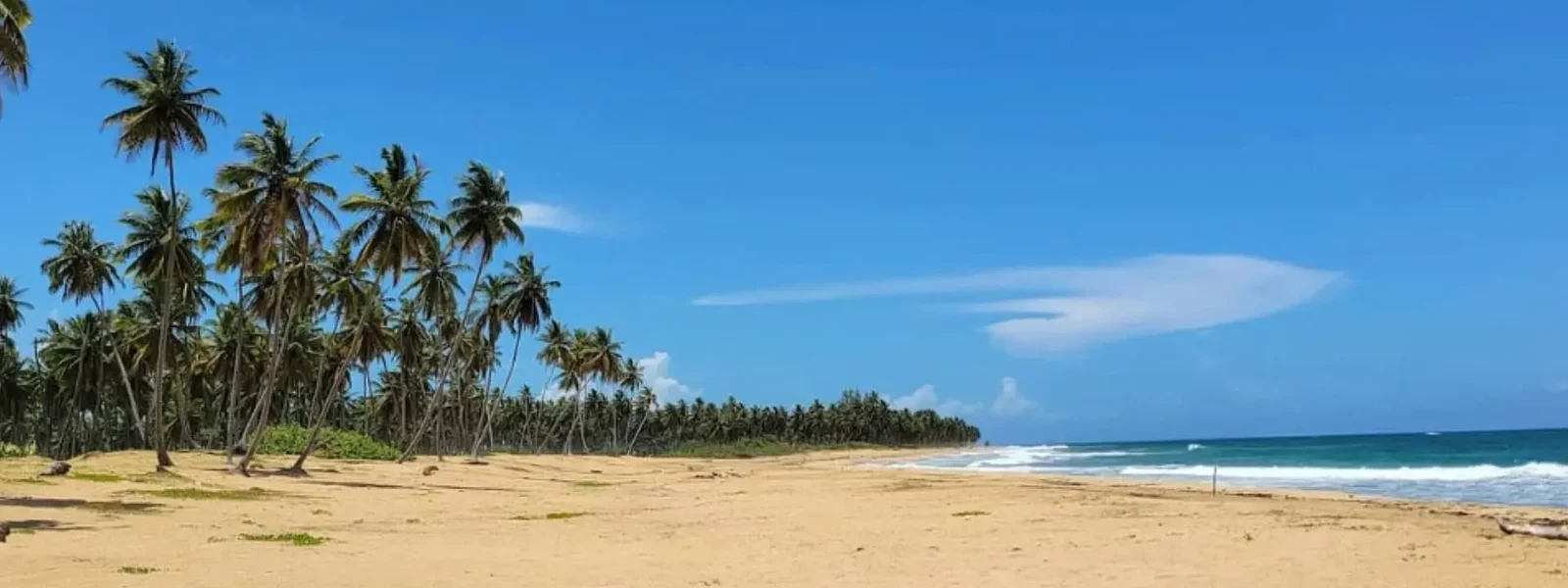 Playa Limon