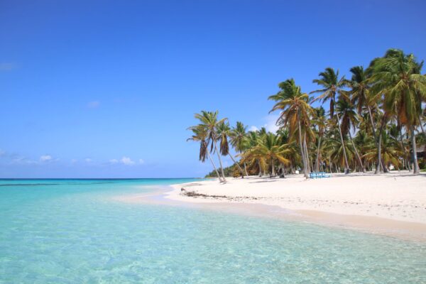 Saona Island VIP Three Beaches and Natural Pool